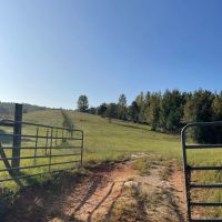 SOLD Millerville 42 - acres images 2