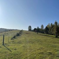 SOLD Millerville 42 - acres images 3