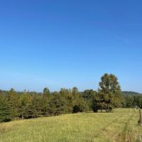 SOLD Millerville 42 - acres images 4