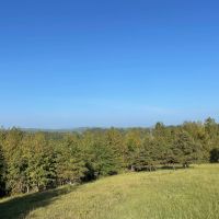 SOLD Millerville 42 - acres images 5