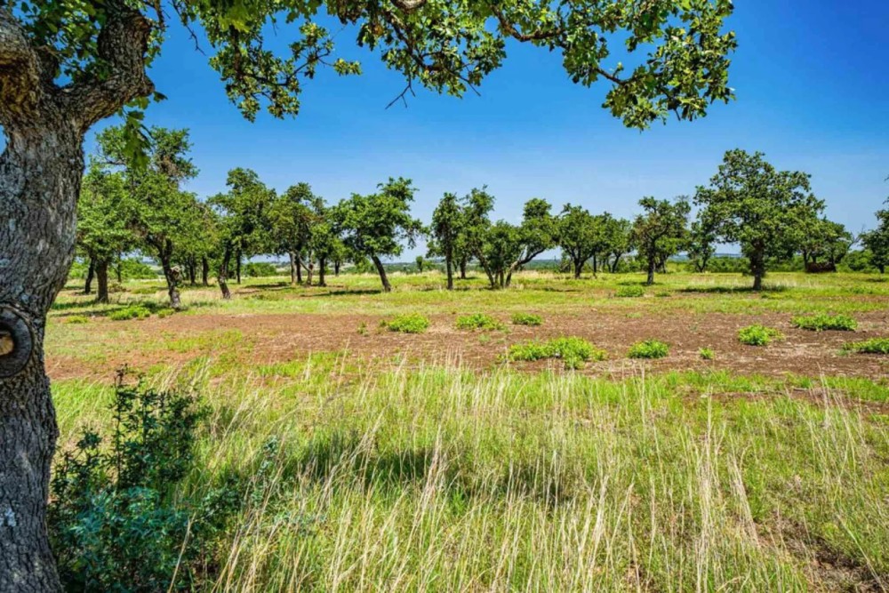 Gillespie County Clear View Ranch N of Fredericksburg featured image