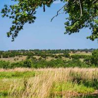 Gillespie County Clear View Ranch N of Fredericksburg images 4