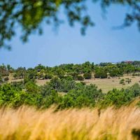 Gillespie County Clear View Ranch N of Fredericksburg images 5