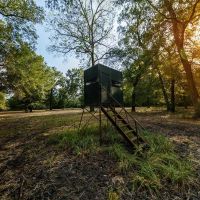 River Oats Ranch