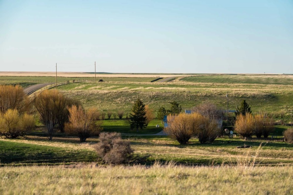 Barrick Farm featured image