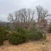 Great hunting fishing AND location in St James Mo images 4