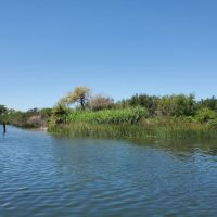 Hog Island