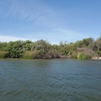 Hog Island images 2