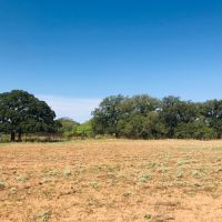 79 Ac Home images 5