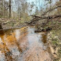 62 Ac Timber w Creek Jackson Co FL
