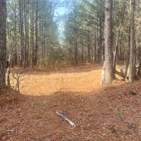 12 Acres in Choctaw County MS images 2