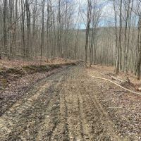 52 acres Hunting Land near State Land in Birdsall NY 3356 Joe McMahon Road