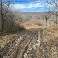 52 acres Hunting Land near State Land in Birdsall NY 3356 Joe McMahon Road images 2