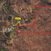 52 acres Hunting Land near State Land in Birdsall NY 3356 Joe McMahon Road images 3