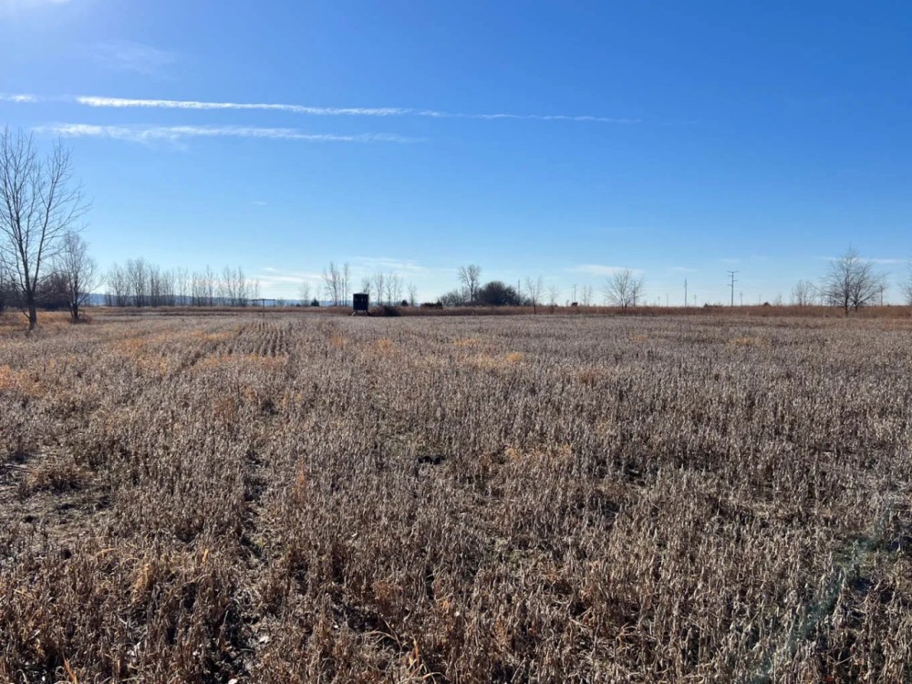 Morgan County Illinois 107 Acres For Sale featured image