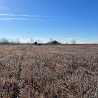 Morgan County Illinois 107 Acres For Sale