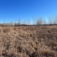 Morgan County Illinois 107 Acres For Sale images 5