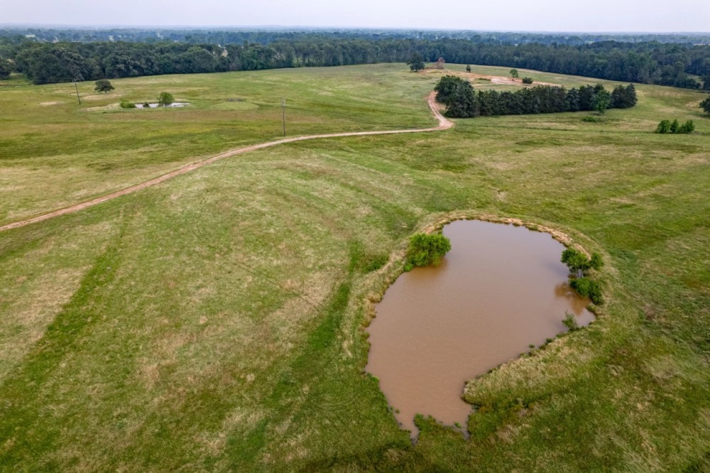 99 Acre Ranch - Wood County TX featured image