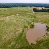 99 Acre Ranch - Wood County TX