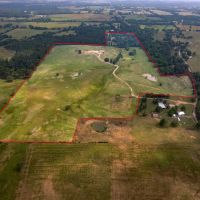 99 Acre Ranch - Wood County TX images 2