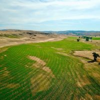 Alluring Yellowstone Estate images 4