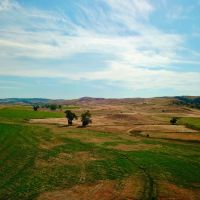 Alluring Yellowstone Estate images 5