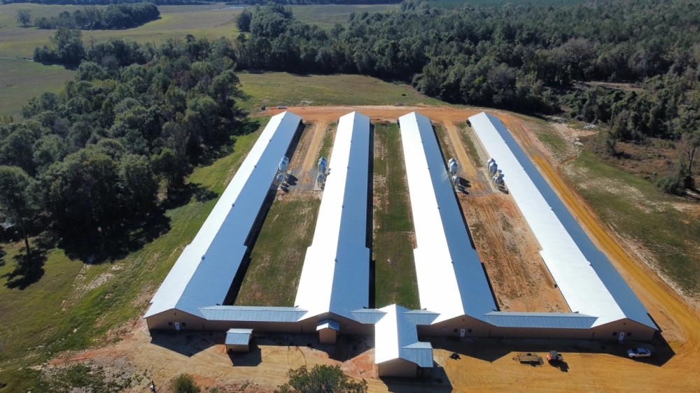 4 house Breeder Hen Poultry Farm with New Home. Located in Luverne Al.ew Property featured image