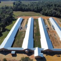 4 house Breeder Hen Poultry Farm with New Home. Located in Luverne Al.ew Property
