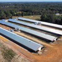 4 house Breeder Hen Poultry Farm with New Home. Located in Luverne Al.ew Property images 2