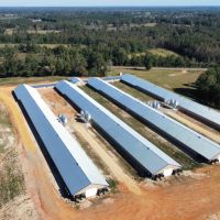 4 house Breeder Hen Poultry Farm with New Home. Located in Luverne Al.ew Property images 3