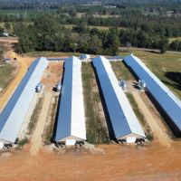 4 house Breeder Hen Poultry Farm with New Home. Located in Luverne Al.ew Property images 4