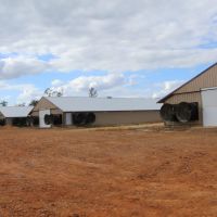 4 house Breeder Hen Poultry Farm with New Home. Located in Luverne Al.ew Property images 5