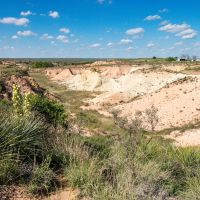 Gallaway Farms images 2