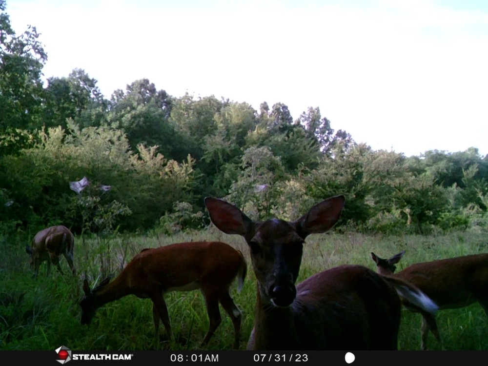 38 E 1090 Road Checotah OK 74426 featured image