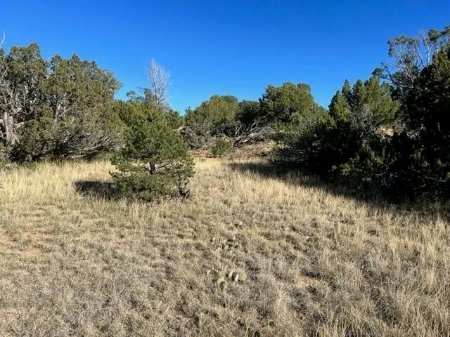 Lot 668 Rio Cucharas Phase 2 337-207 Walsenburg CO 81089 featured image