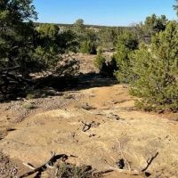 Lot 668 Rio Cucharas Phase 2 337-207 Walsenburg CO 81089 images 5
