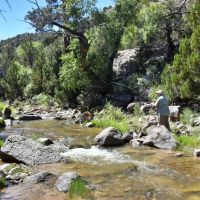 Thieves Den Ranch