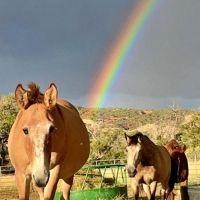 Thieves Den Ranch images 4
