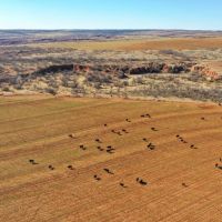 Little Red River Ranch images 4
