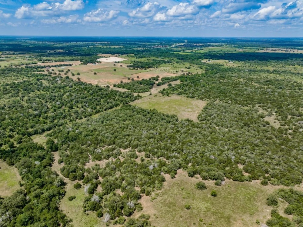 29 acres - Armstrong Derry Rd Tract 13 in Flationa featured image