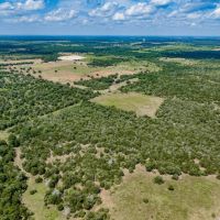 29 acres - Armstrong Derry Rd Tract 13 in Flationa