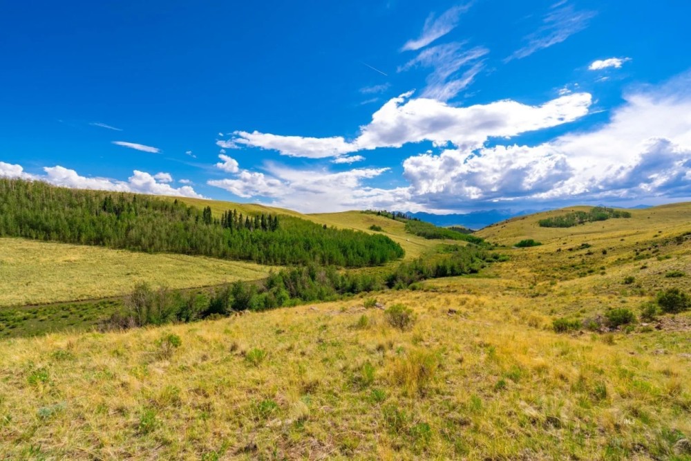 Little Horn Ranch featured image