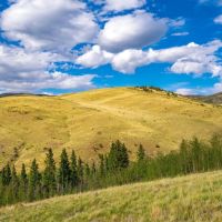 Little Horn Ranch images 4