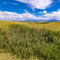 Little Horn Ranch images 5