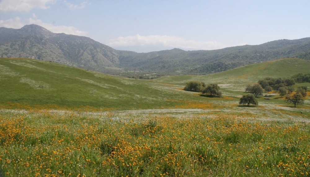 Los Robles Ranch featured image