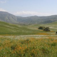 Los Robles Ranch