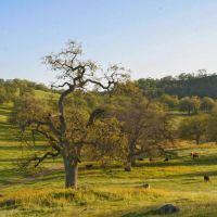 Los Robles Ranch images 2