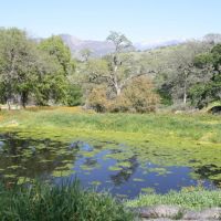 Los Robles Ranch images 3