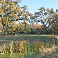 Los Robles Ranch images 4