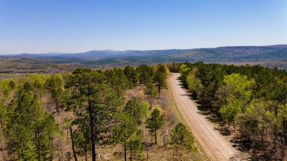 292 Acres with Beautiful Mountain Views Excellent Hunting and Development Potential featured image